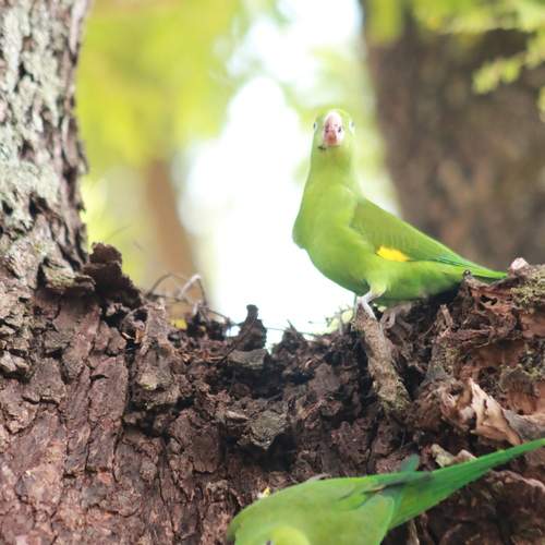 Photo #13637023