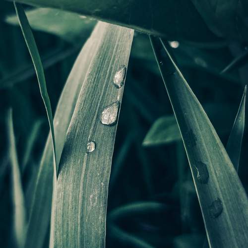Photo #13637056