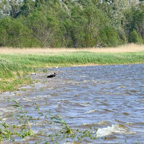 Photo #13637068
