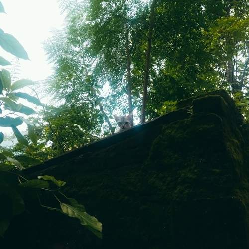 Photo #13637080