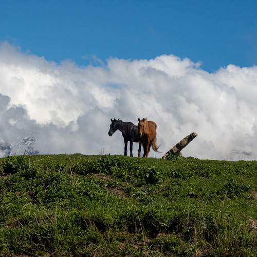 Photo #13637217