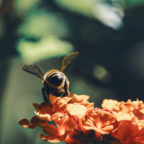 Photo #13637373