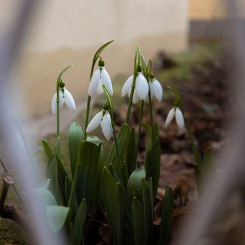Photo #13637437