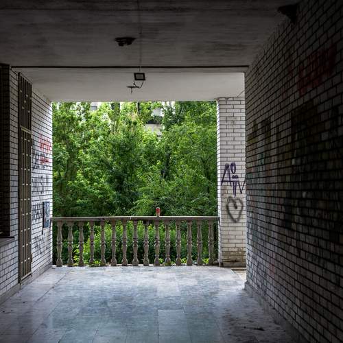 Photo #13637441
