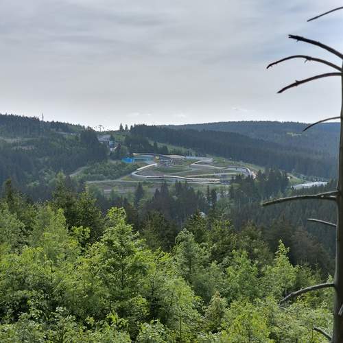 Photo #13637504