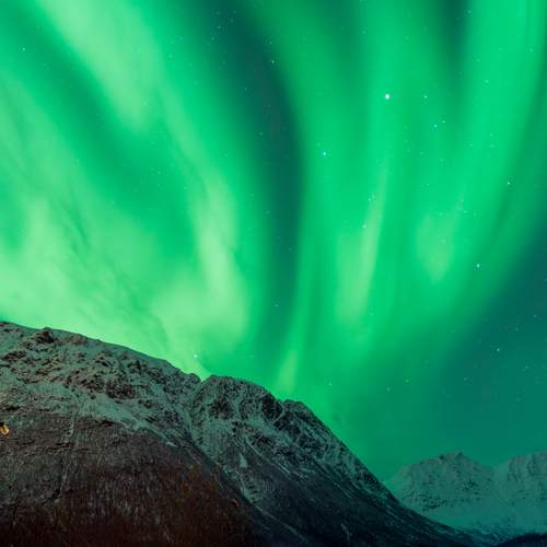 Photo #13637539