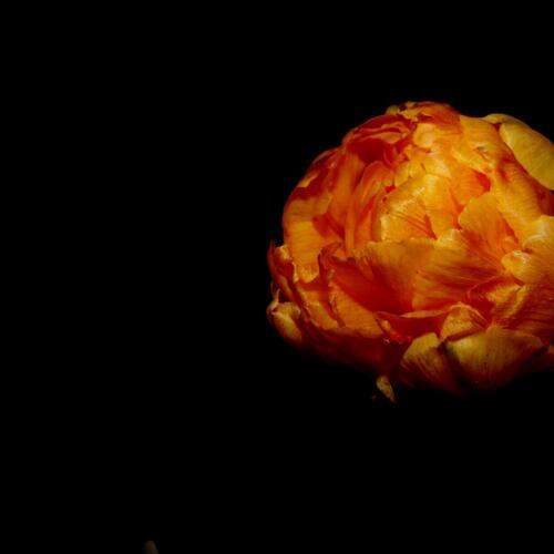Photo #13637557