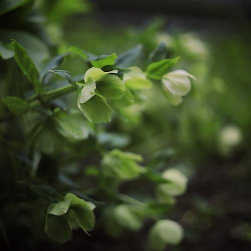 Photo #13637607