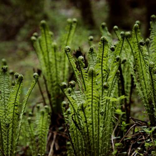 Photo #13637650