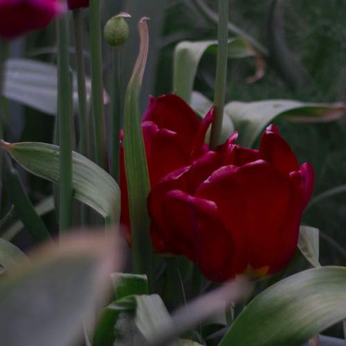 Photo #13637686