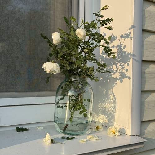Photo #13637732