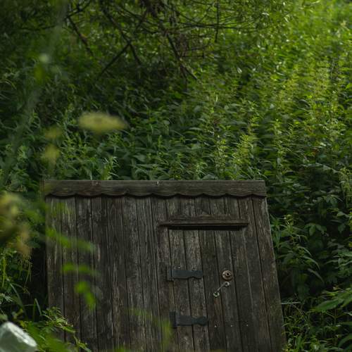 Photo #13637783