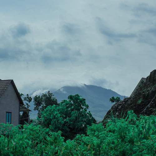 Photo #13637873