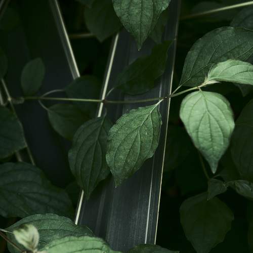 Photo #13637903