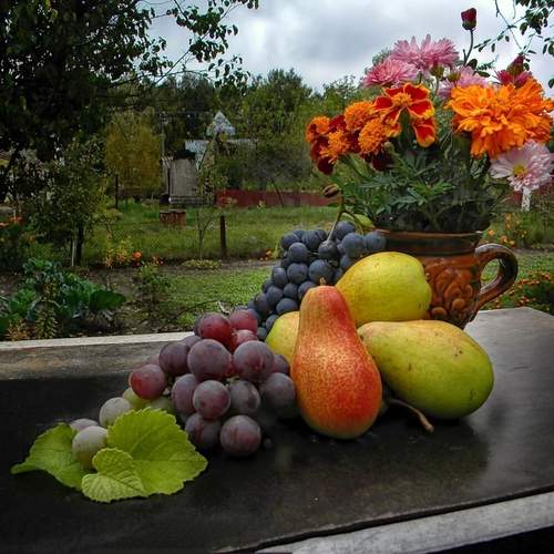 Photo #13637906