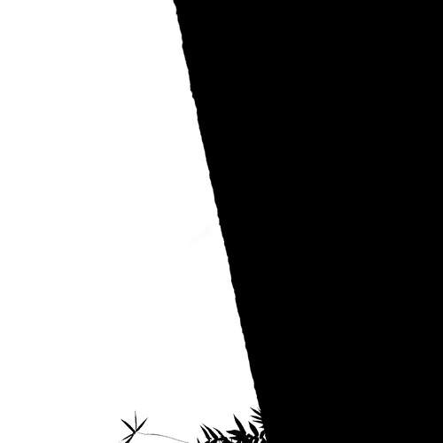 The Line of Life