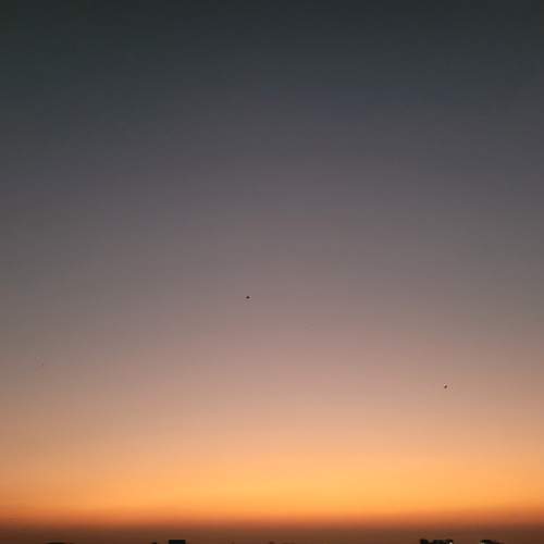 Photo #13638032