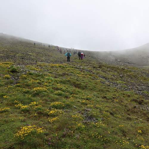 Photo #13638060