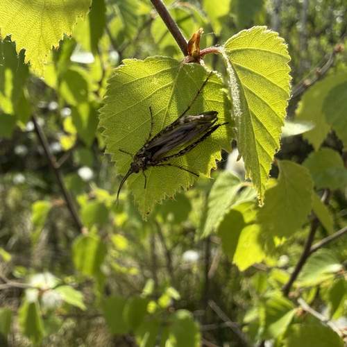 Photo #13638165
