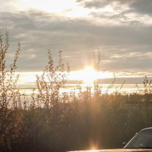 Photo #13638225