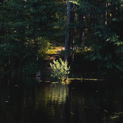 Photo #13638300