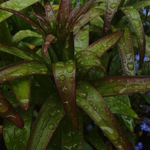 Photo #13638309