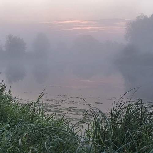 Photo #13638320