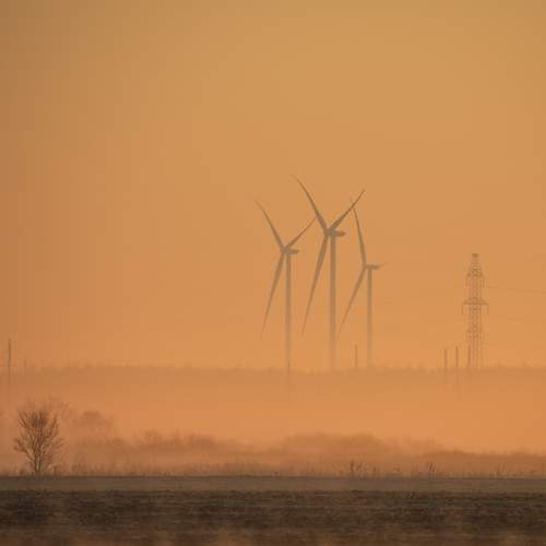 Photo #13638457