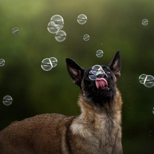Photo #13638466