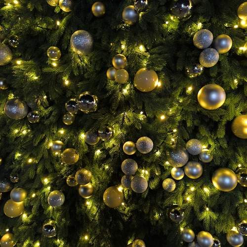 Photo #13638478