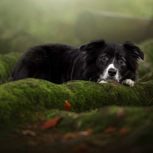 Photo #13638479