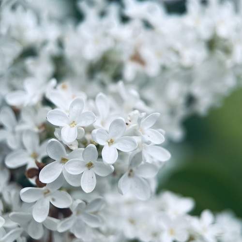 Photo #13638539