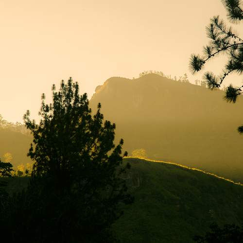 Photo #13638541