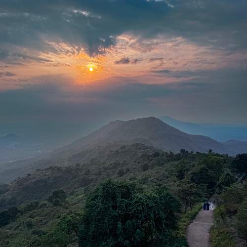Path to the Last Light