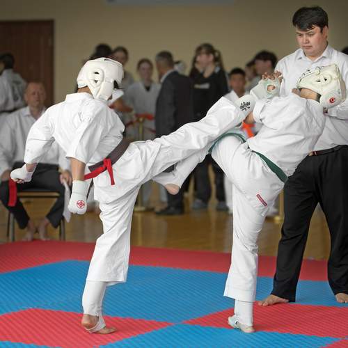 Photo #13638600