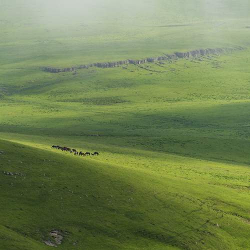Photo #13638628