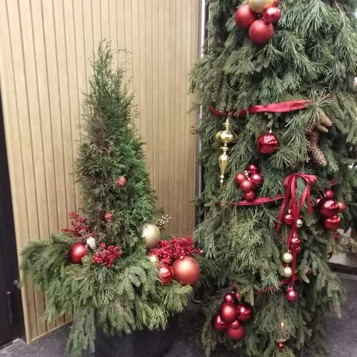 Photo #13638642