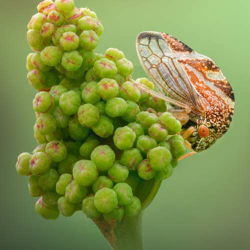Photo #13638697