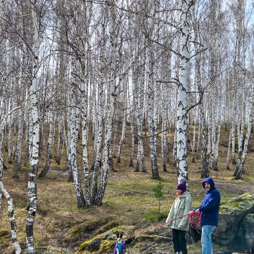 Photo #13638713