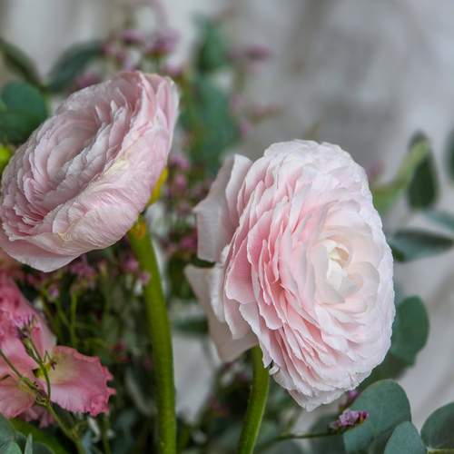 Photo #13638729