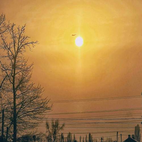 Photo #13638815