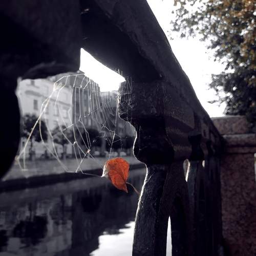 Photo #13638860