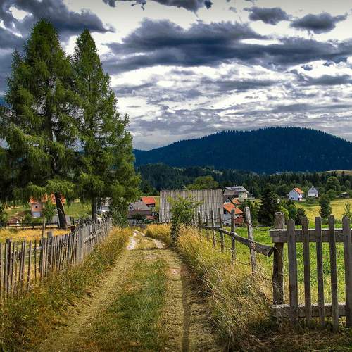 Photo #13638954