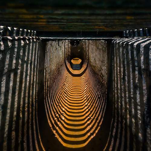 Photo #13639005