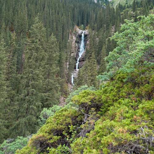 Photo #13639031