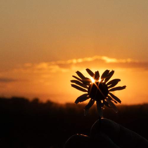 Photo #13639044