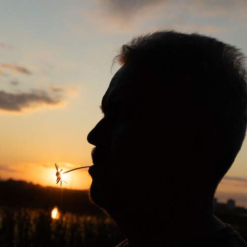 Photo #13639045