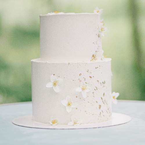 Photo #13639050