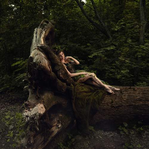 Photo #13639139