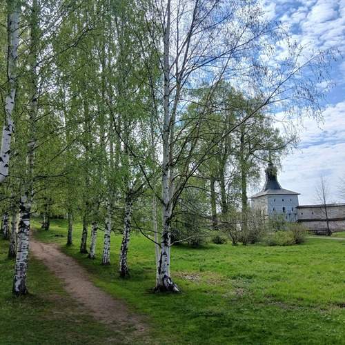 Photo #13639223